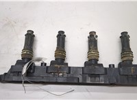 1208020, 24420584, 93177212 Катушка зажигания Opel Corsa D 2006-2014 20491258 #1