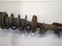  Амортизатор подвески Suzuki Grand Vitara 2005-2015 20491579 #1