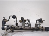 Рампа (рейка) топливная Skoda Octavia (A7) 2013-2023 20492505 #1