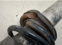 33526758094 Амортизатор подвески BMW 7 E65 2001-2008 20493096 #2