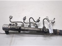 A6510700495 Рампа (рейка) топливная Mercedes Sprinter 2006-2018 20493300 #1