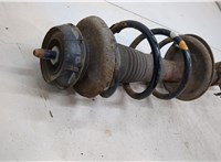 6001550701 Амортизатор подвески Dacia Logan 2004-2012 20493326 #2