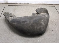 A2036981930 Защита арок (подкрылок) Mercedes C W203 2000-2007 20493339 #1