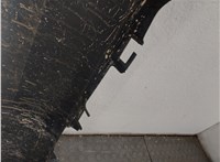  Повторитель поворотов Renault Scenic 2003-2009 11442012 #6