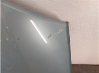  Повторитель поворотов Renault Scenic 2003-2009 11442022 #3