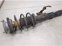 31316786005, 6786005, 31336767365, 6767365 Амортизатор подвески BMW 3 E90, E91, E92, E93 2005-2012 20493678 #1