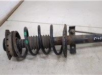 8200663650, 8200040079 Амортизатор подвески Renault Megane 2 2002-2009 20493818 #1