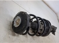 543024308R Амортизатор подвески Renault Scenic 1996-2002 20493858 #2