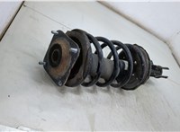  Амортизатор подвески KIA Carnival 2001-2006 20493921 #2