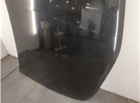  Капот Mitsubishi Carisma 1995-2004 20493990 #10