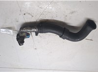 070121131B Фланец системы охлаждения Volkswagen Transporter 5 2003-2015 20494016 #1