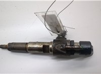  Форсунка топливная Ford Focus 3 2011-2015 20494076 #1