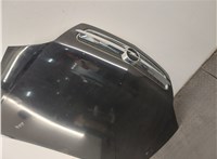 1160003, 24435346 Капот Opel Signum 20494078 #2