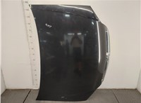 1160003, 24435346 Капот Opel Signum 20494078 #14