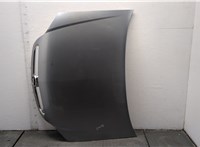 1160009, 13208520, 93184795 Капот Opel Signum 20494138 #1
