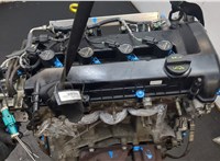 1367606, 1364482 Двигатель (ДВС на разборку) Ford Focus 2 2005-2008 20494346 #8