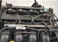 1367606, 1364482 Двигатель (ДВС) Ford Focus 2 2005-2008 20494346 #8
