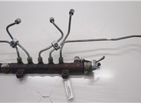  Рампа (рейка) топливная Toyota RAV 4 2006-2013 20494438 #1