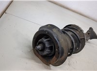 A2033205330 Амортизатор подвески Mercedes C W203 2000-2008 20494538 #2