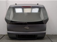  Подсветка номера Opel Signum 11442812 #1
