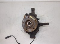 400150083R, 402020010R Ступица (кулак, цапфа) Renault Scenic 2012-2016 20494977 #1