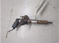 1980ER Форсунка топливная Citroen DS4 2010-2018 20495314 #1