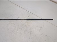 51238240596, 8240596 Амортизатор капота BMW 7 E65 2001-2008 20495618 #1
