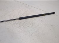 25880917 Амортизатор крышки багажника Chevrolet Tahoe 2006-2014 20495710 #1