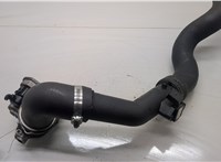 038128063L Заслонка дроссельная Volkswagen Sharan 2000-2010 20495901 #4