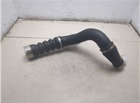 13718655836 Патрубок интеркулера BMW X1 (F48) 2015-2022 20497105 #2