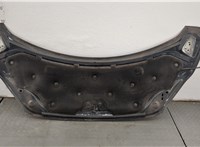 2778119, PBK21A16612AD Капот Ford Transit (Tourneo) Custom 2012-2025 20497331 #7