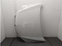  Решетка радиатора Opel Antara 11444194 #1