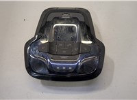  Фонарь салона (плафон) Dodge Hornet 2022-2025 20497681 #1