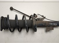 1619283, 4M5118K001RCD Амортизатор подвески Ford C-Max 2002-2010 20498407 #1