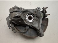 1K0407621F, 3C0407253F, 1K0615311F Ступица (кулак, цапфа) Volkswagen Passat 6 2005-2010 20498579 #4
