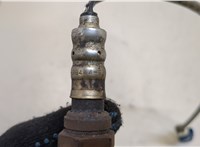 5L8Z9F472AA, 5L8Z9G444F Лямбда зонд Ford Escape 2007-2012 20498735 #5