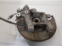 Ступица (кулак, цапфа) Chevrolet Captiva 2011-2016 20498967 #1