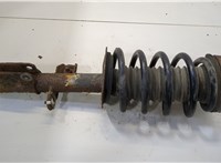 31316764599 Амортизатор подвески BMW X5 E53 2000-2006 20499194 #1