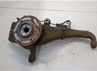  Ступица (кулак, цапфа) Infiniti QX56 2004-2010 20499340 #1