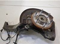  Ступица (кулак, цапфа) Ford Expedition 2002-2006 20500197 #1