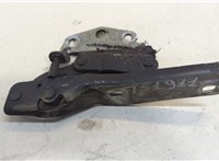 3C0823301E Петля капота Volkswagen Passat 6 2005-2010 20500656 #1