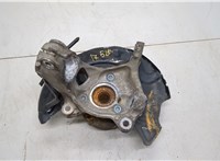 5Q0407254B, 5Q0407621F Ступица (кулак, цапфа) Volkswagen Tiguan 2016-2020 20498811 #2
