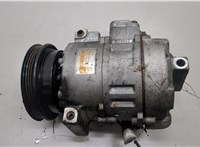  Компрессор кондиционера Volkswagen Passat 5 1996-2000 20501681 #1