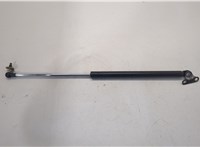 6896069016 Амортизатор крышки багажника Lexus LX 1998-2007 20501869 #1