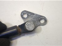 6896069016 Амортизатор крышки багажника Lexus LX 1998-2007 20501869 #4