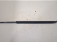 2L1Z16C826AA Амортизатор капота Ford Expedition 2002-2006 20501996 #1