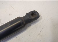 2L1Z16C826AA Амортизатор капота Ford Expedition 2002-2006 20501996 #2