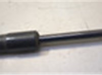 2L1Z16C826AA Амортизатор капота Ford Expedition 2002-2006 20501997 #3