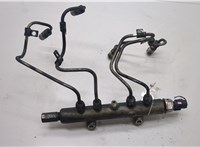 1465A034 Рампа (рейка) топливная Mitsubishi L200 2006-2015 20502534 #1