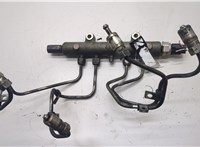 1465A034 Рампа (рейка) топливная Mitsubishi L200 2006-2015 20502534 #4